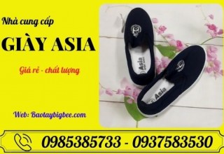 Nhà cung cấp giày thể thao Asia màu xanh giá rẻ