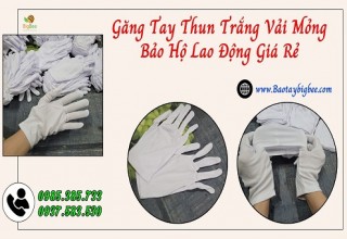 Găng tay thun trắng vải mỏng giá tại kho