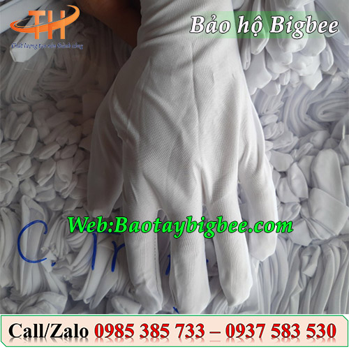 Găng tay thun cotton trắng