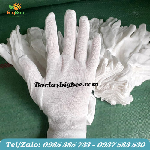 Bao tay cotton trắng chất lượng cao giá rẻ tại TP.HCM