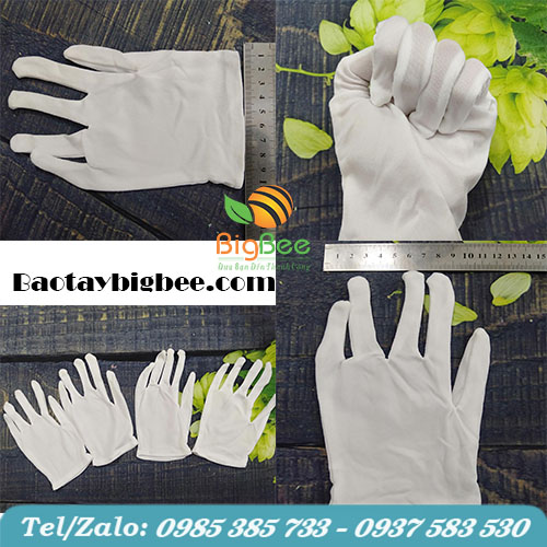 Găng tay cotton trắng chuyên dụng