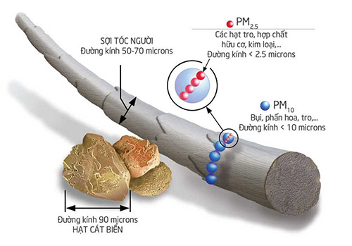 Hình ảnh hạt bụi mịn PM 2.5