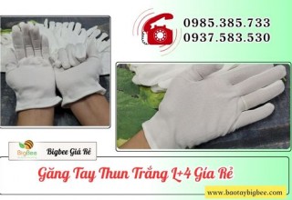 Địa chỉ bán găng tay thun trắng L+4 giá rẻ nhất