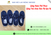 Nhà cung cấp giày bata asia giá rẻ nhất