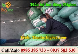 Thu Hồng – địa chỉ bán bao tay len poly giá sỉ giao hàng trong ngày
